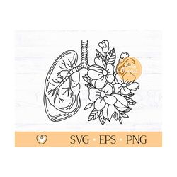 lungs svg, floral lungs svg, human lung svg, png