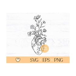 anatomical heart with wildflowers svg, floral heart svg, human heart svg, realistic heart svg, png