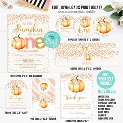 editable pumpkin party package, little pumpkin printable decorations, fall autumn 1st birthday invitation set template p