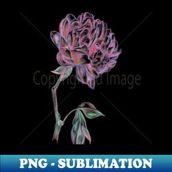 peony illustration - png transparent sublimation file - enhance your apparel with stunning detail