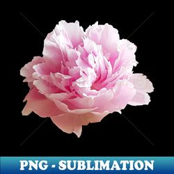 pink peony flower photo - creative sublimation png download - bold & eye-catching