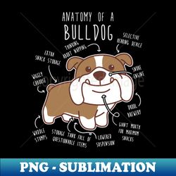 english bulldog chocolate and white dog anatomy - png transparent sublimation file - perfect for sublimation art