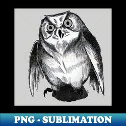 owl see you out - special edition sublimation png file - perfect for personalization