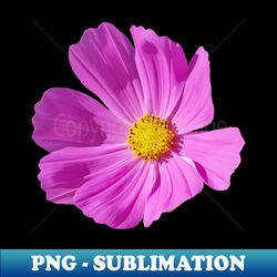 pink cosmos flower photo - high-quality png sublimation download - perfect for personalization