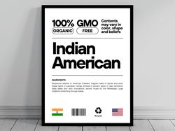 indian american unity flag poster mid century modern american melting pot rustic charming indian humor us patriotic wall