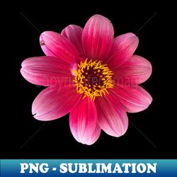 pink flower photo - elegant sublimation png download - perfect for creative projects