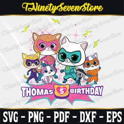 super kitties inspired birthday t shirt, super kitties party theme, personalized shirt kids, gift birthday shirt, family