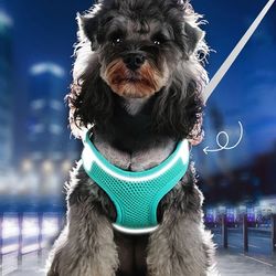 Dog Harness Pet Supplies Dog Cat Chest Harness Small and Medium