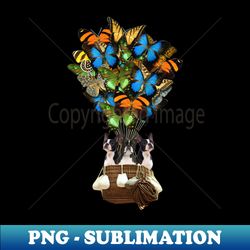 boston terriers dog butterfly hot air balloon - high-quality png sublimation download - bring your designs to life