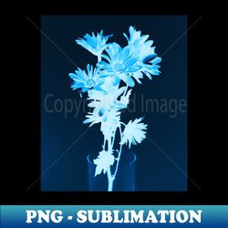 cyanotype art printing blue flowers daisy photography - creative sublimation png download - create with confidence