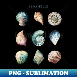 Seashell Collecting Beachcombing Lover Sea Shell Collector - Vintage Sublimation PNG Download - Perfect for Personalization