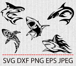 shark svg,png,eps cameo cricut design template stencil vinyl decal tshirt transfer iron on