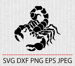 scorpion svg,png,eps cameo cricut design template stencil vinyl decal tshirt transfer iron on