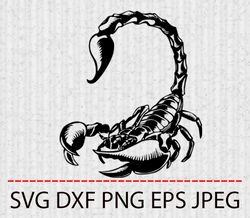 scorpion svg,png,eps cameo cricut design template stencil vinyl decal tshirt transfer iron on