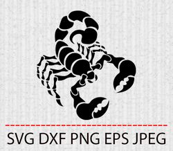 scorpion svg,png,eps cameo cricut design template stencil vinyl decal tshirt transfer iron on