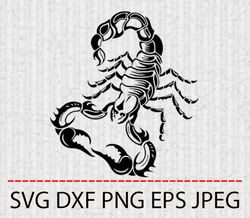 scorpion svg,png,eps cameo cricut design template stencil vinyl decal tshirt transfer iron on