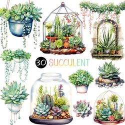 vibrant watercolor cacti and succulents | png botanical clip art fresh plant vine stone flower pot glass bottle steel