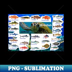 26 finfish species - elegant sublimation png download - defying the norms