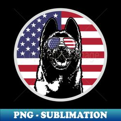 Patriotic American Akita Inu American Flag Sunglasses - Png Sublimation Digital Download - Unleash Your Inner Rebellion