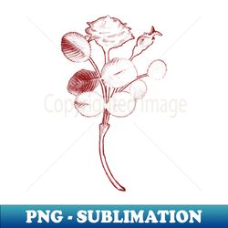 rosa de pelagio black rose red outline image - aesthetic sublimation digital file - enhance your apparel with stunning detail
