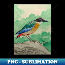 blue-winged pitta on the rocks - instant sublimation digital download - enhance your apparel with stunning detail