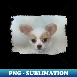 brown and white chihuahua puppy 01 - trendy sublimation digital download - perfect for creative projects