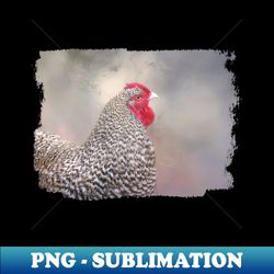 dominique chicken 01 - instant png sublimation download - stunning sublimation graphics