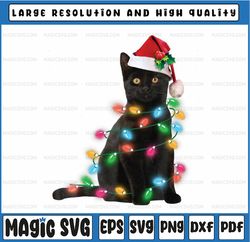 christmas black cat with santa hat lights for cat lover xmas png, merry christmas cat sublimation design, black cat png,