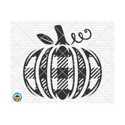 buffalo plaid pumpkin svg, pumpkin svg, halloween svg, thanksgiving svg, autumn svg, fall svg designs, cut files, cricut, silhouette, png