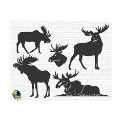 moose silhouette svg, moose bundle svg, moose svg, moose cut file, moose vector, clipart, dxf, eps, png, cricut, silhouette