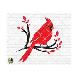 cardinal bird svg, cardinal svg, memorial svg, winter svg, cardinal on branch svg, christmas cut files, cricut, silhouette, png