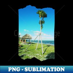 palm tree photo key west florida blue sky palmtree landscape usa nature lovers - decorative sublimation png file - unlock vibrant sublimation designs