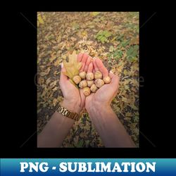 picking oak acorns - modern sublimation png file - unleash your creativity
