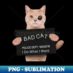 bad cat booking photo - signature sublimation png file - capture imagination with every detail
