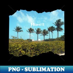 palm trees photo miami florida blue sky palmtree landscape usa nature lovers - trendy sublimation digital download - create with confidence