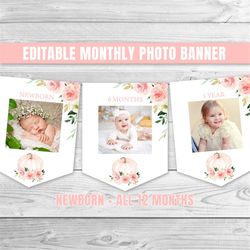 editable pumpkin monthly photo banner pumpkin birthday banner pumpkin garland pink pumpkin photo banner pink pumpkin par