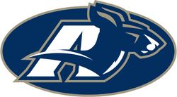 akron zips svg png jpeg  dxf digital cut vector files for silhouette studio cricut design