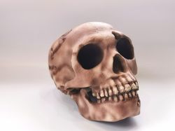 homo neanderthal skull replica, full-size 3d printed hominid skull, museum quality anthropology model