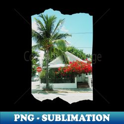 palm tree photo key west florida blue sky palmtree landscape usa nature lovers - sublimation-ready png file - spice up your sublimation projects