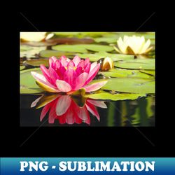 meditation wall art print - water lily meditation - canvas photo print artboard print poster canvas print - png transparent sublimation design - unleash your inner rebellion