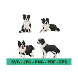 collie svg collie dog svg collie mom svg dog mom svg cute collie dog svg bundle cricut file