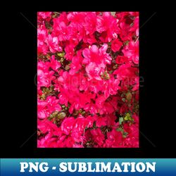 bright pink flowers - vectorized photographic image - creative sublimation png download - defying the norms