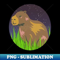 happy capybara in the grass with circular shape - signature sublimation png file - vibrant and eye-catching typography