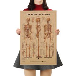 the skeleton of the body structure nervous system poster bar home decor retro kraft paper painting 42x29cm wall sticker