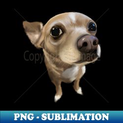 cute chihuahua - premium sublimation digital download - bring your designs to life
