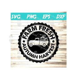 farm fresh autumn harvest svg