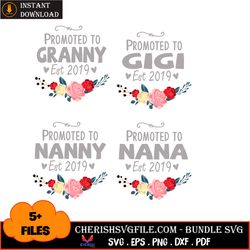 5 files promoted to granny est 2019 bundle svg, mothers day svg