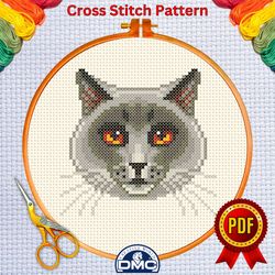 cute cat face cross stitch pattern 1, animal embroidery chart, antique unique needlework pattern, beginner small,