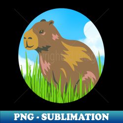 happy capybara in the grass with circular shape - premium sublimation digital download - bold & eye-catching