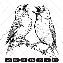 canary svg, canary bird svg, canary, canary png, canary clipart, canary files